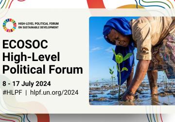 A graphic on the UN's high level political forum depicting a woman planting a sapling.
