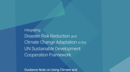 Cover shows the title "Integrating Disaster Risk Reduction and Climate Change Adaptation in the UN Sustainable Development Cooperation Framework" and subtitle against blue and teal collage of shapes.