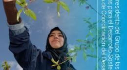 Portada del Informe 2021 de la Presidencia del Grupo de las Naciones Unidas para el Desarrollo Sostenible sobre la Oficina de Coordinación del Desarrollo. Se muestra un plano contrapicado de una mujer recolectando frutos en un árbol, con un cielo azul despejado en el fondo.