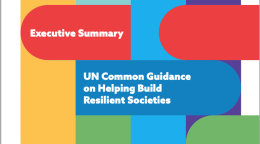 Cover has a white background with the SDG colours presented as elongated and curved oval shapes stretching across the entire cover, with the title positioned centered in front of one of the shapes.