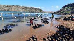 En un día soleado, la gente coloca arena en sacos para crear un muro que evite las inundaciones cerca de un puente.