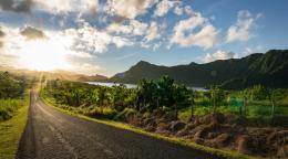 Un soleil magnifique se lève sur une route bordée d'une végétation luxuriante et d'un lac derrière lequel s'élèvent des montagnes.