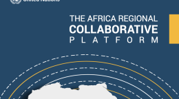 Dark blue publication cover with an outline of Africa in white 