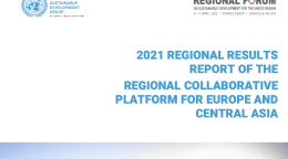 Report cover featuring a picture of a child walking in the nature 