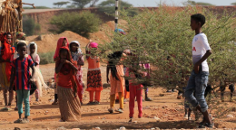 يلعب الأطفال في مكان قاحلة تحيط به القليل من الأشجار.