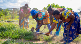 Mujeres con faldas y tops de colores labran la tierra en medio de un paraje lleno de vegetación.