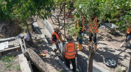 Programas de inversión intensiva en empleo en una granja de Dohuk.