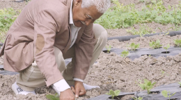 Man in a brown shirt and pant kneeling in a farm with green plants at his feet