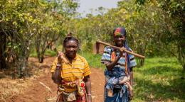 Photo : ©FAO/Albert Wilbert