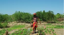 Woman in a red dress stands with a farming hoe in a farm with green plants at her feet