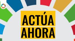 SDG color and text describing taking action for the SDGs