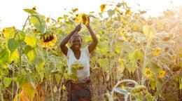 Как сказал Генеральный секретарь ООН Антониу Гутерриш, «планеты Б у нас в запасе нет».