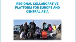 A cover of a report with the UN's logo up top and the title and picture below