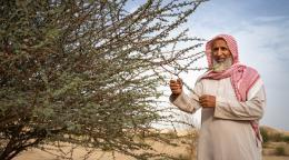 Le directeur du parc national de Thadiq, Abdullah Ibrahim Alissa, et d'autres défenseurs de l'environnement dans le centre de l'Arabie saoudite sont fiers du travail de reboisement qui a transformé cette zone désertique en un lieu naturel très prisé. Photo : UNEP/Duncan Moore