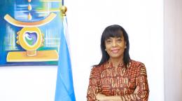 A woman with dark hair wearing a brown shirt with her arms crossed, stands in front of a white wall next to a blue UN flag
