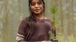 A cover of a UN document with a girl holding up a plant