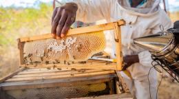 Пчеловод держит улей