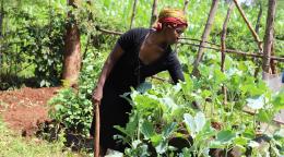 Agnes Barasa et les autres agriculteurs n’étaient pas conscients que brûler les résidus de récolte était nocif pour les sols. Mise en œuvre par la FAO, le FIDA et le Kenya avec un financement de l’Union européenne, l’initiative BOOST vise à transmettre les bonnes pratiques en matière de santé des sols.