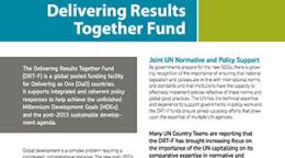 Folleto con un collage de fotografías, cuadros de colores sólidos, el logo en inglés del Grupo de las Naciones Unidas para el Desarrollo y párrafos de texto.