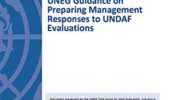 Portada del documento con un fondo blanco decorado con una columna azul, en la cual se aprecia el logo translúcido de la ONU.