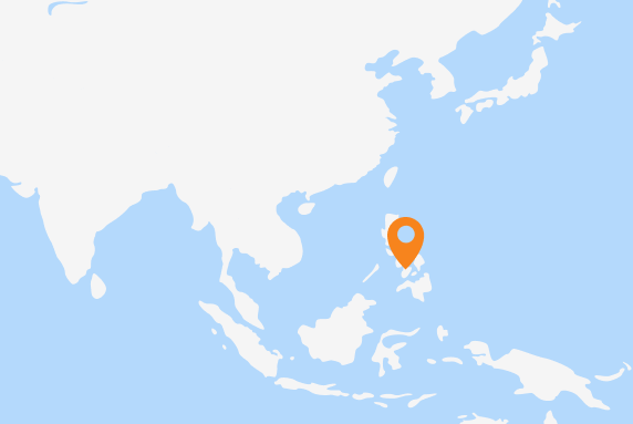 In the Philippines, joint UN-World Bank planning led to a $600million loan in support of the national health sector response, including to strengthen COVID-19 laboratory capacity vaccinations. 