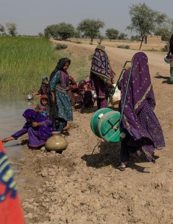 在巴基斯坦南旁遮普邦，年轻女孩和妇女在一个受污染的水塘附近取水。    
