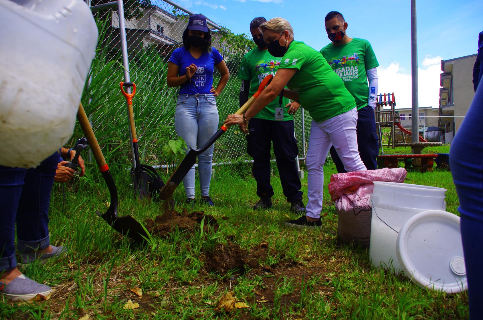 一群妇女拿着园艺工具在一块绿地上工作。