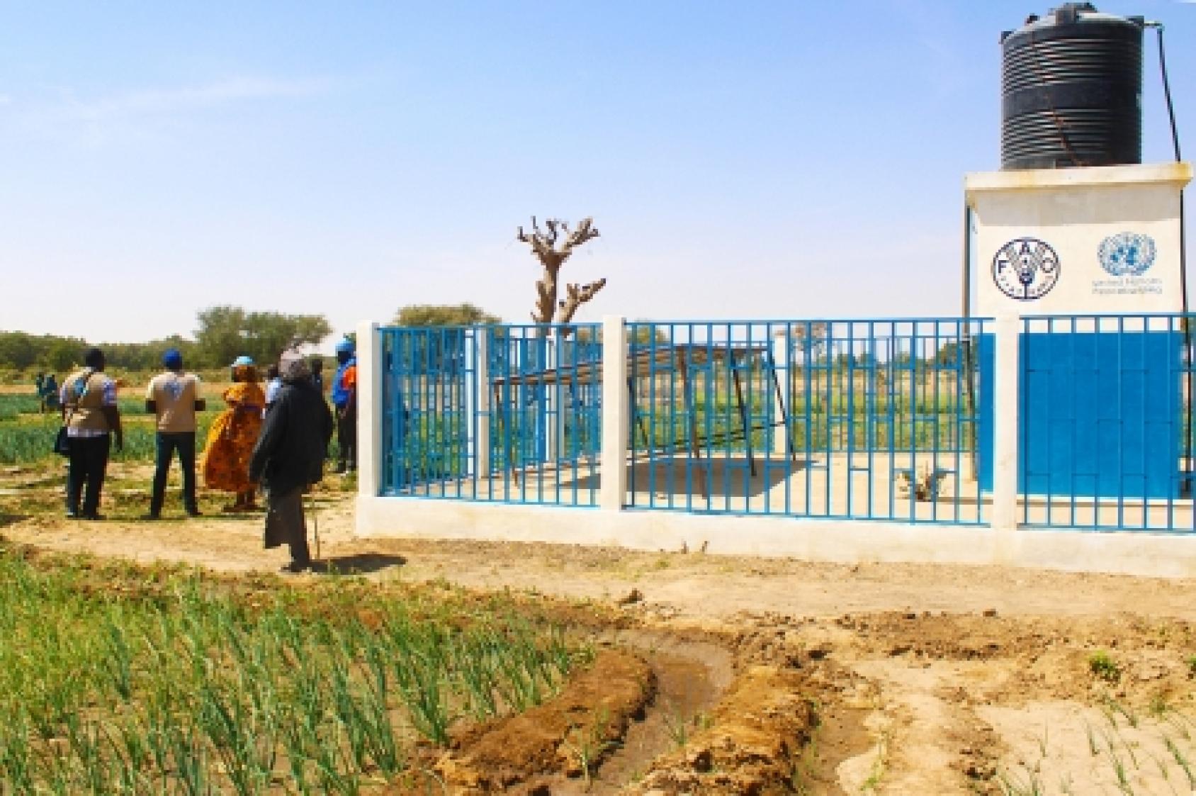 Plusieurs personnes sont regroupées par une journée ensoleillée devant un bâtiment de la FAO, au Cameroun, au milieu d'un champ cultivé. 