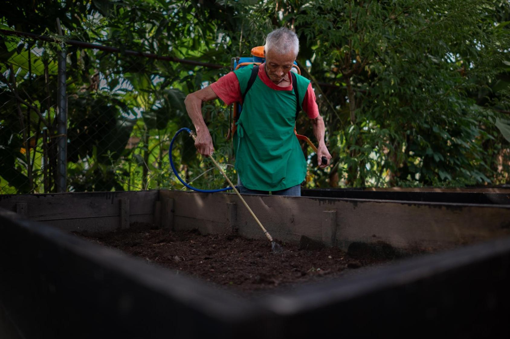 José Silverstre Pernia