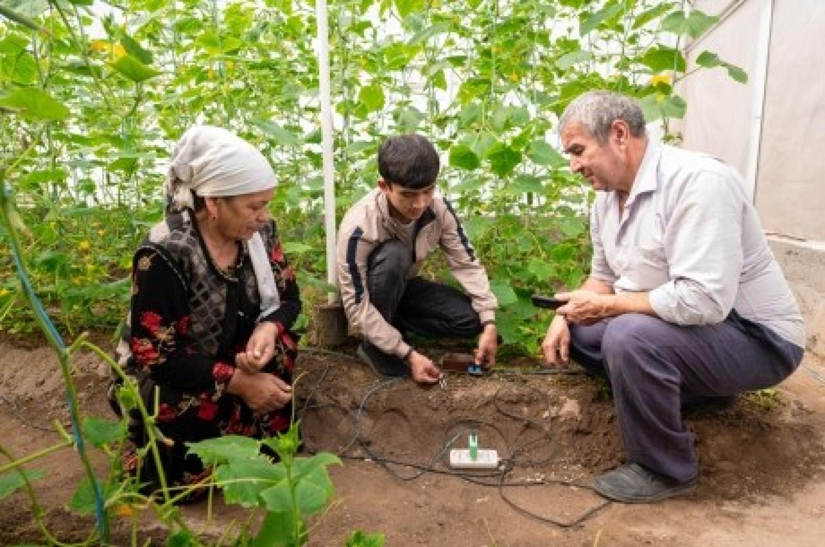 Мужчина, женщина и подросток ставят электронный датчик в теплице