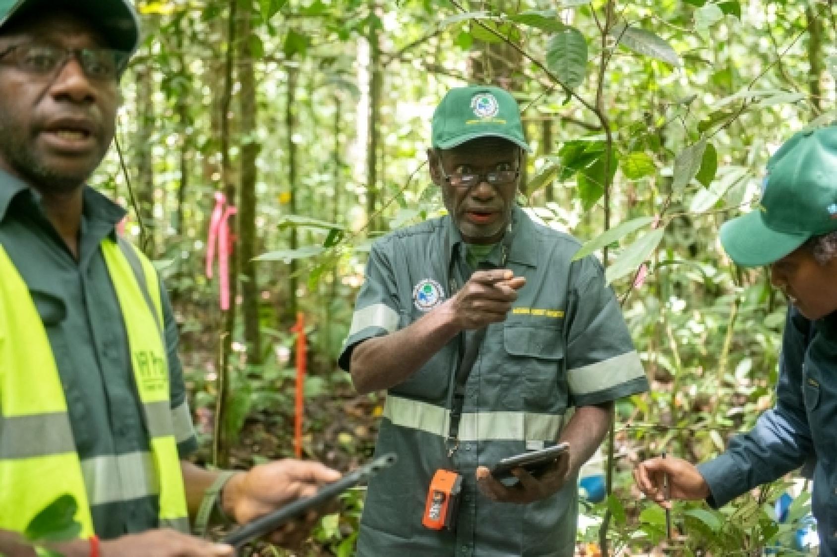 Three men dressed in green like park rangers, carrying computer tablets, stand in a forest clearing