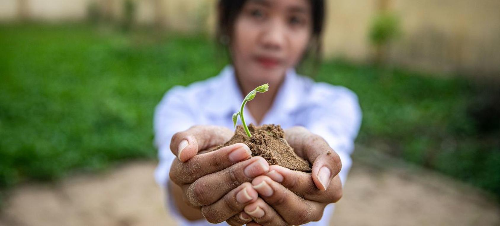 A young girl in a white shirt holds up a plant