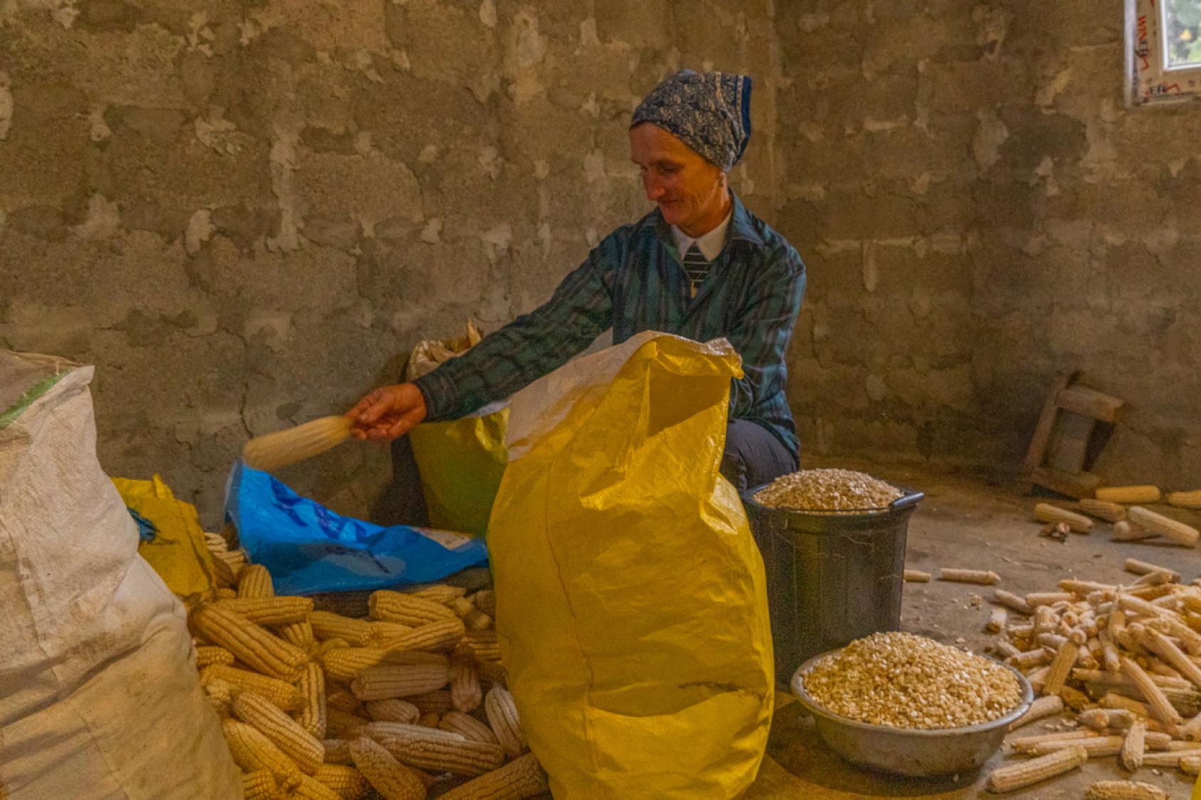 ©FAO/Guram Saqvarelidze