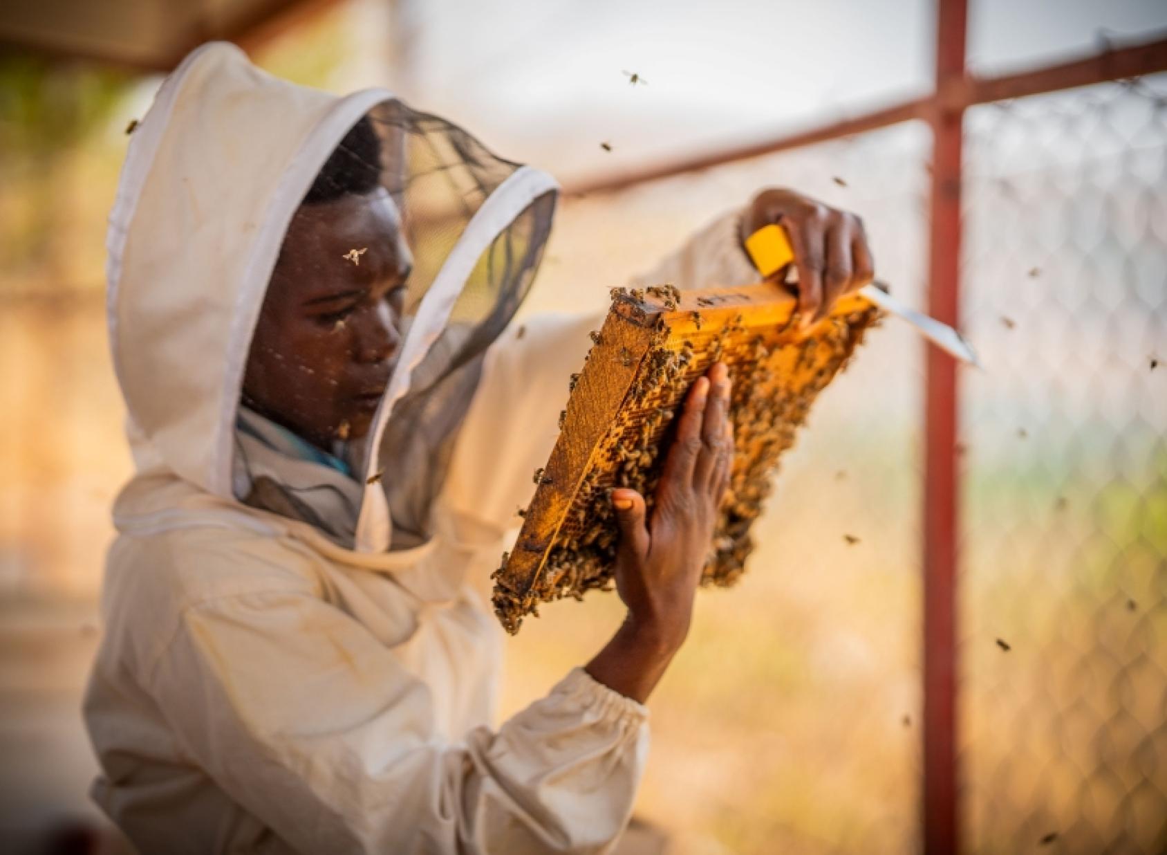 Пчеловод в костюме держит соты