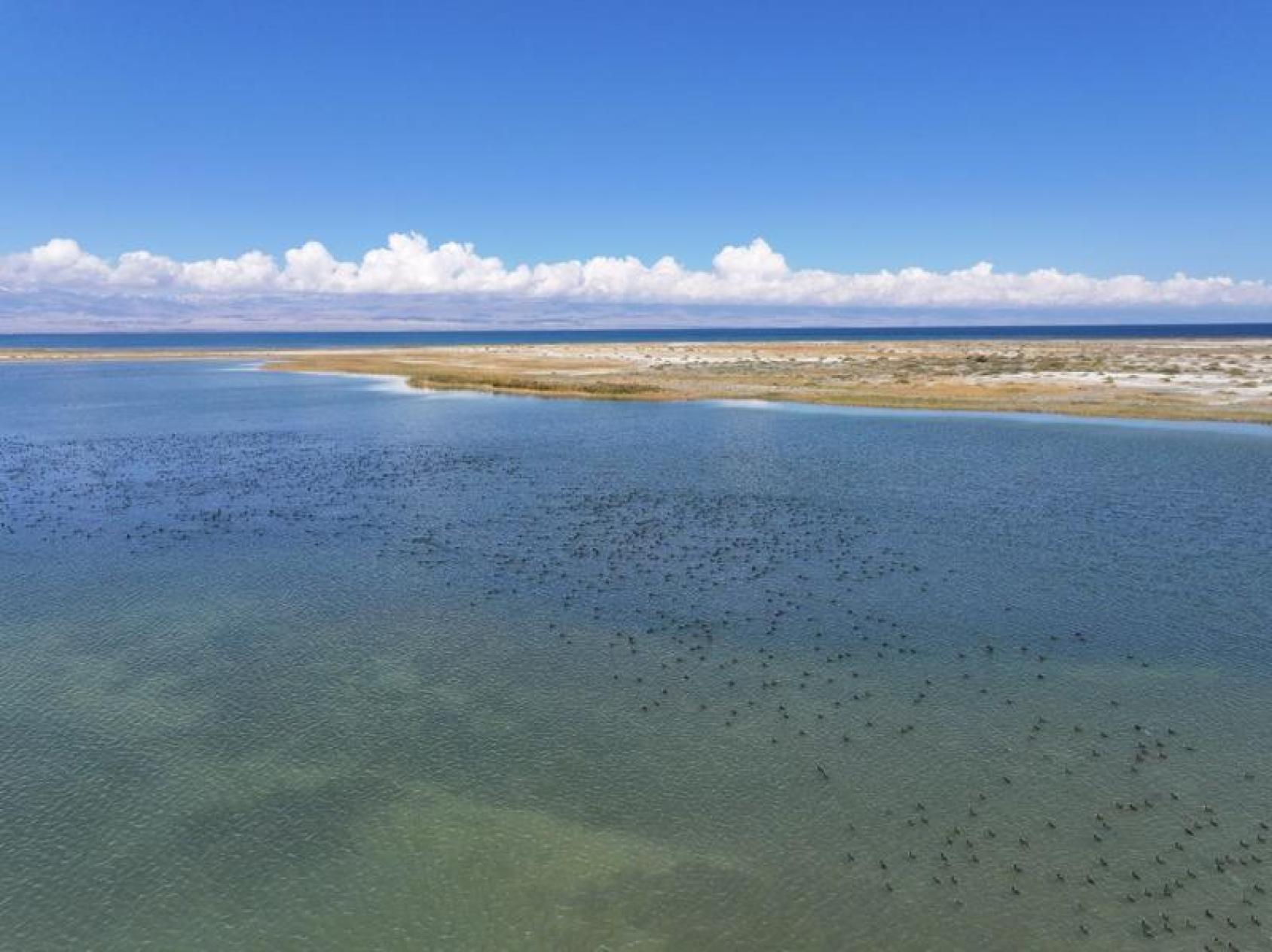 Бескрайние просторы озера