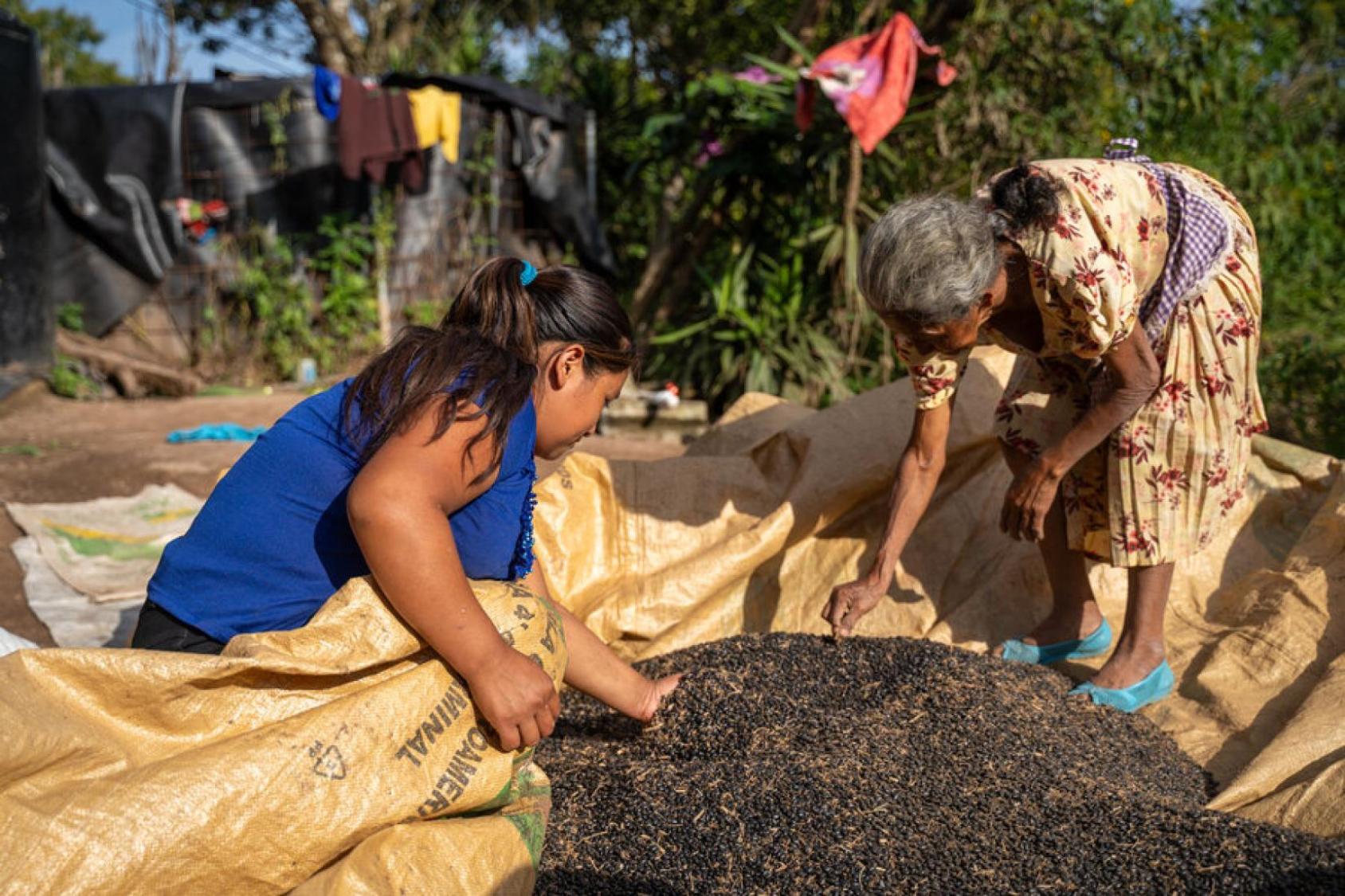 Mujeres cosechando su comida