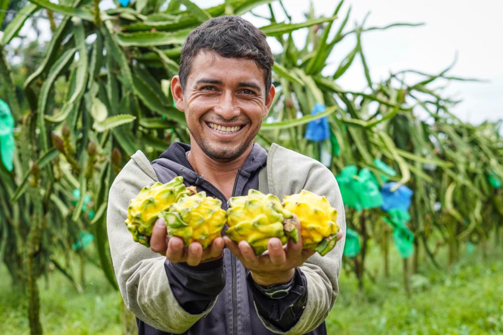 A man in Ecuador stands in a field holding fruit.