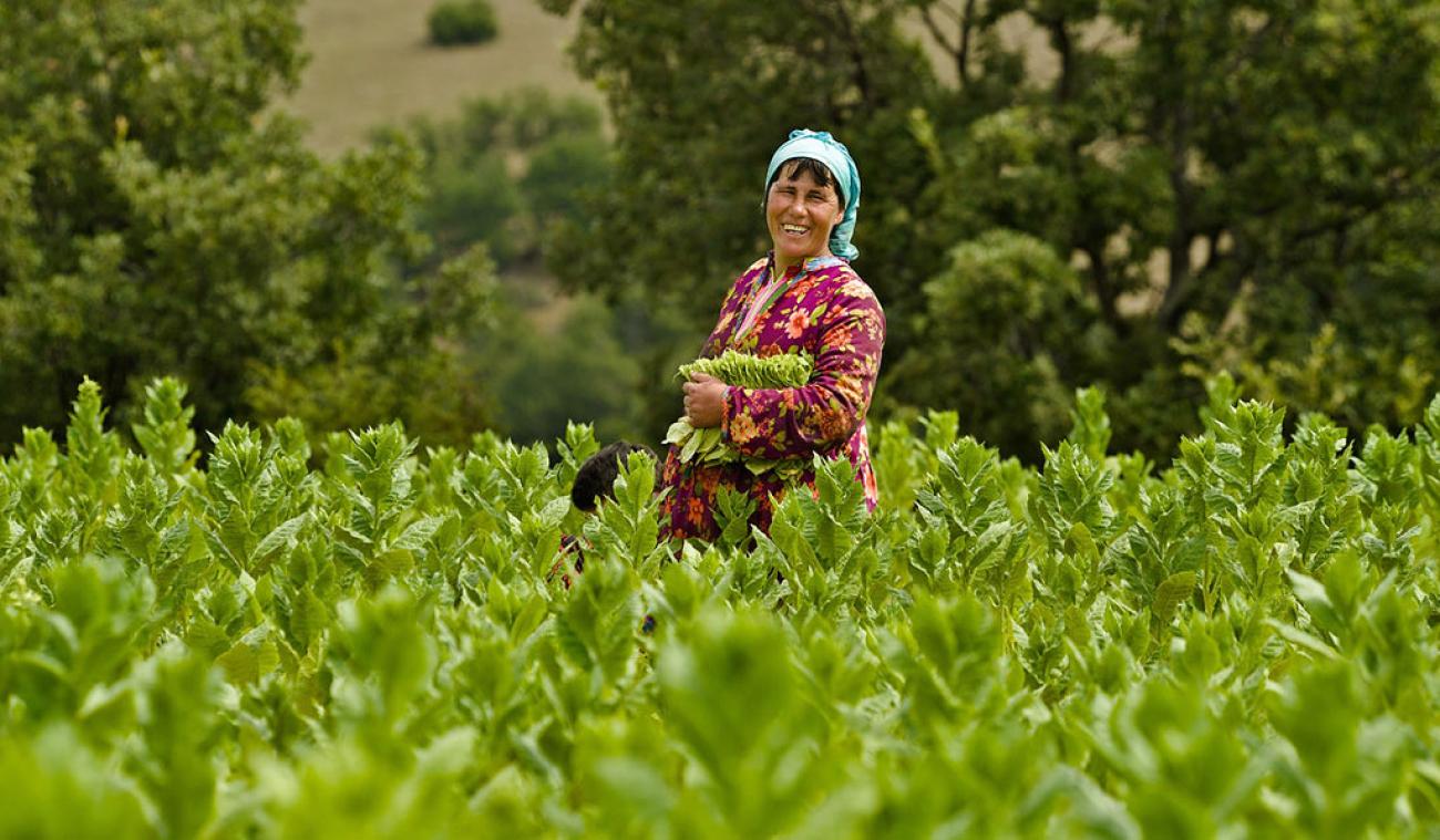 A woman smiles happily as she stands in the middle of a field of crops.