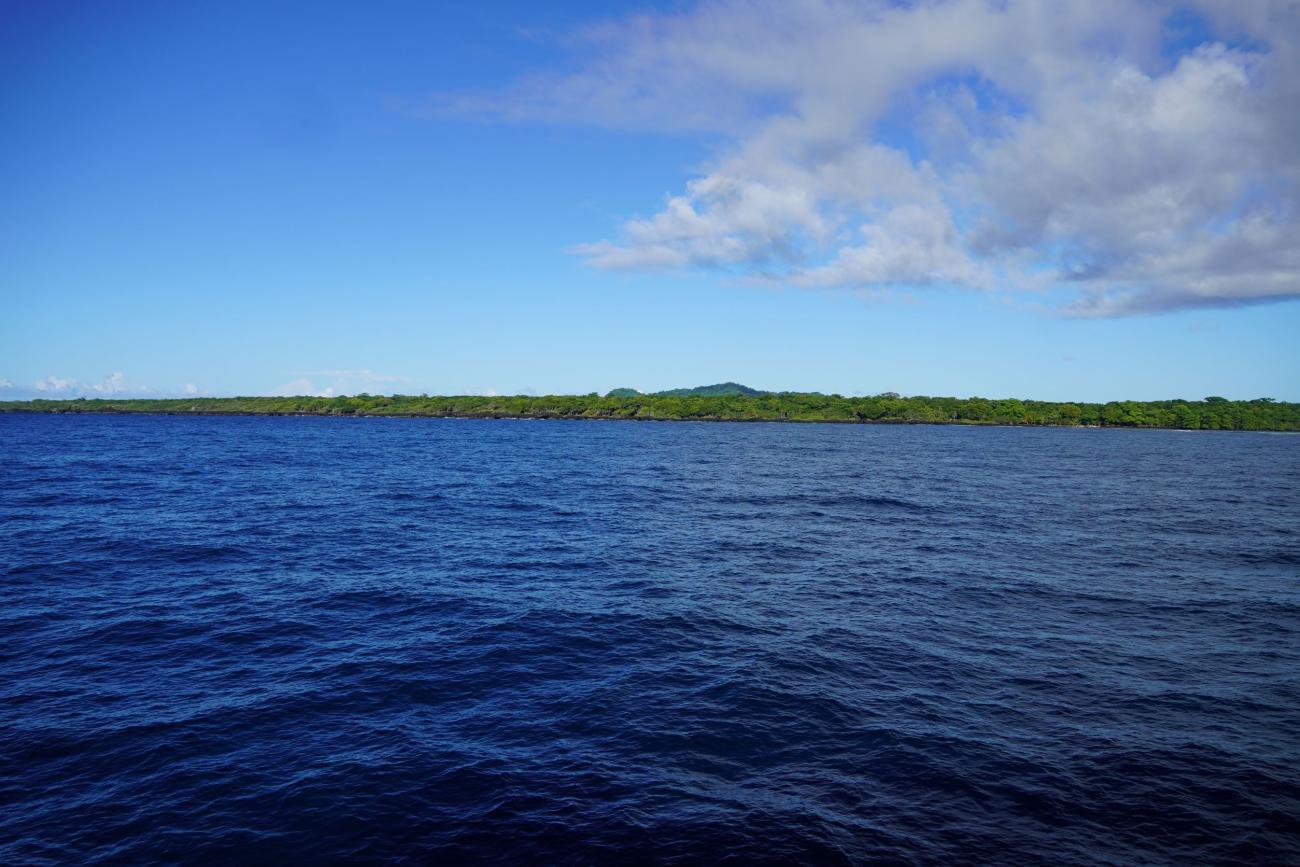 An illustrative of an ocean, with deep blue water, and a light blue sky above.
