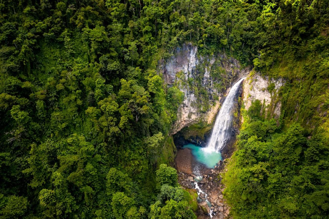 Vue d'une des plus grandes chutes d'eau de la Dominique.