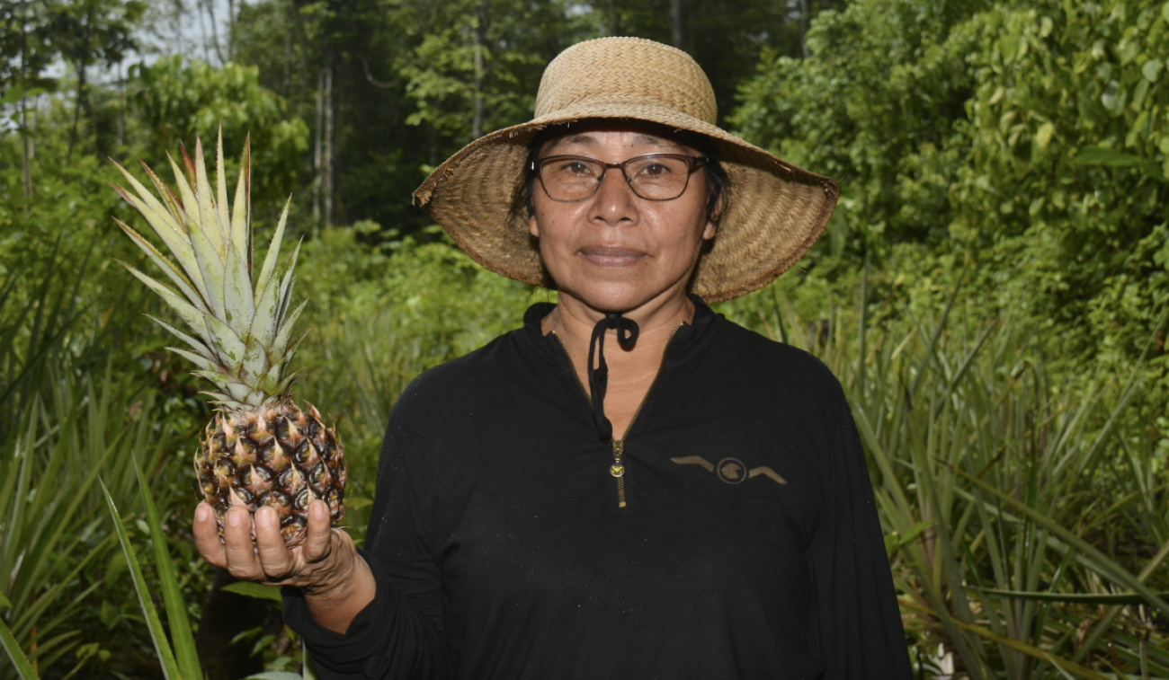 Wendolien Sabajo, miembro de la comunidad indígena Lokono (Arawak), con sombrero y blusa negra, sostiene una piña en una plantación en Surinam.