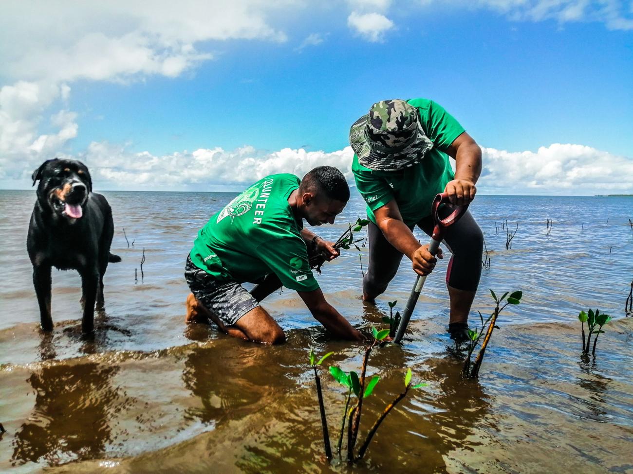 2 man in green t-shirts planting mangroves