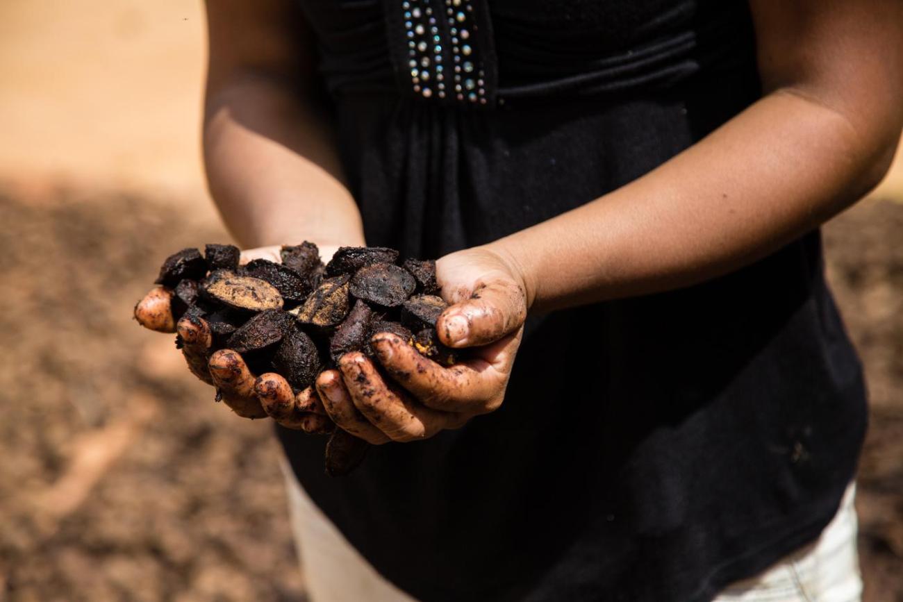 Una agricultora con castañas en sus manos.