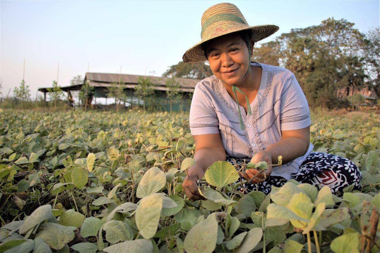 A female farmer in a sunhat in a field of crops