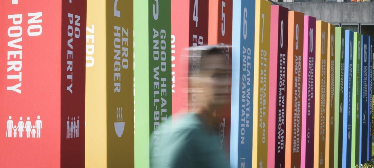A blurry woman in front of the SDG pillars 