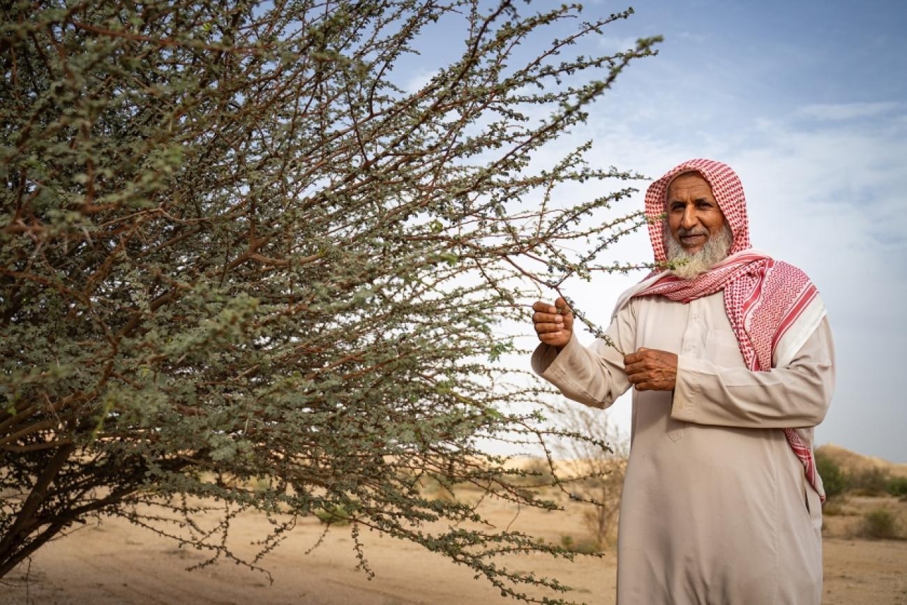 Le directeur du parc national de Thadiq, Abdullah Ibrahim Alissa, et d'autres défenseurs de l'environnement dans le centre de l'Arabie saoudite sont fiers du travail de reboisement qui a transformé cette zone désertique en un lieu naturel très prisé. Photo : UNEP/Duncan Moore