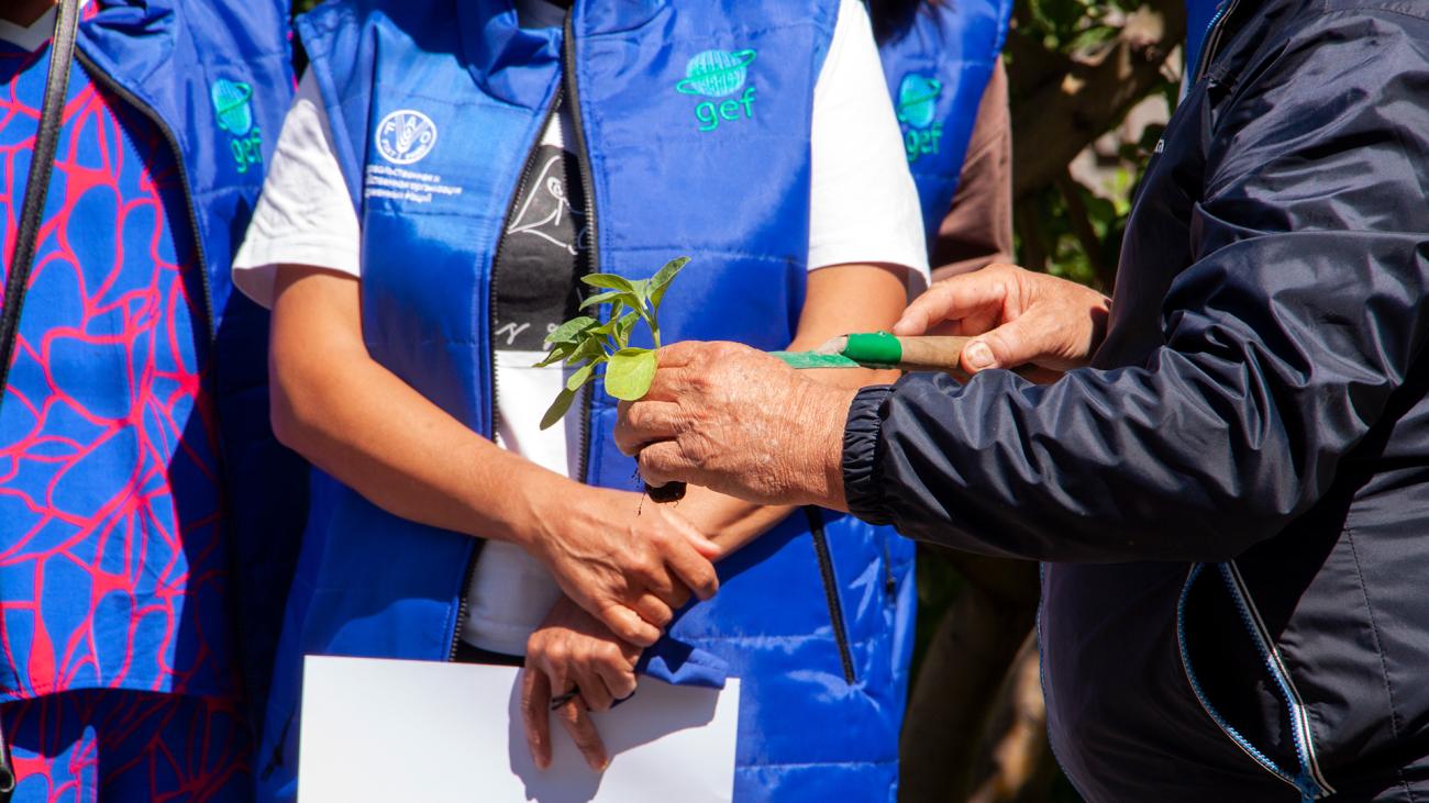 Dans le cadre d’un projet de l’Organisation des Nations Unies pour l’alimentation et l’agriculture (FAO) financé par le Fonds pour l’environnement mondial (FEM), des formations pratiques à la culture sous serre et à l’agriculture durable sont dispensées à des femmes au Kazakhstan.