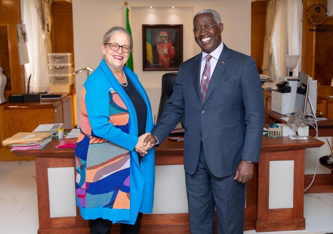 A woman in a blue dress shakes the hand of a man in a dark grey suit in an official setting