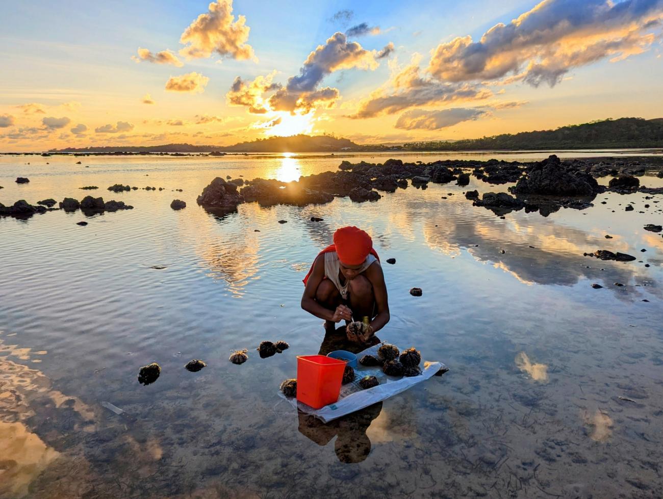A woman crouches in the water along the coast
