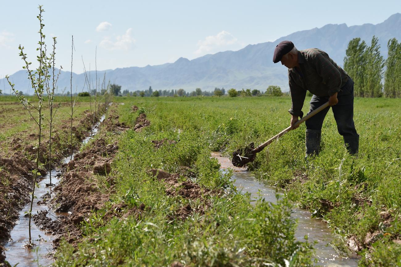 A man is outdoors using a shovel to till the fields
